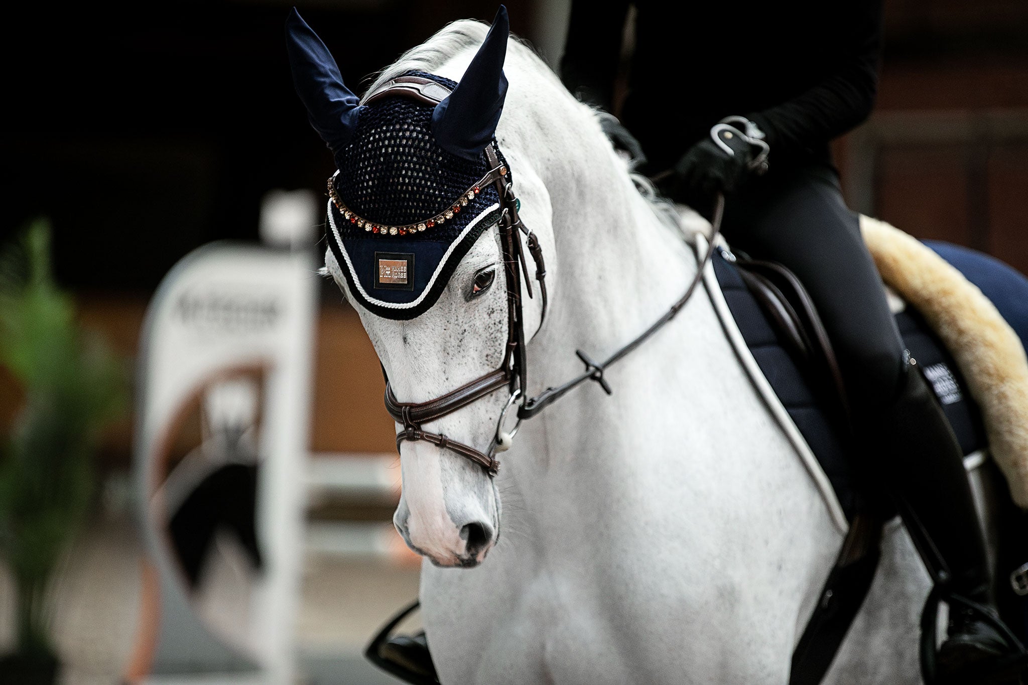 HanseHorse Classic Sports – Fliegenohren