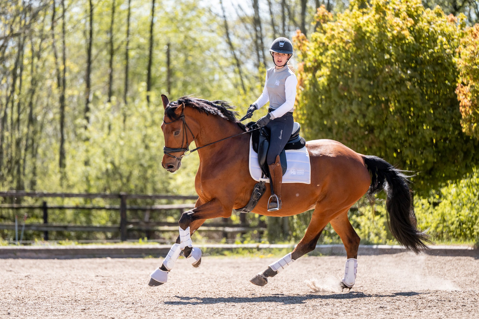 HanseHorse Magnetics - Dressurschabracke