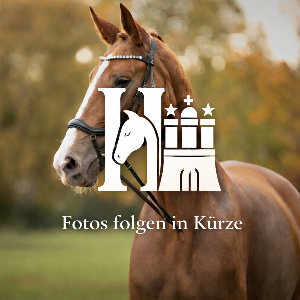 HanseHorse Heritage – Gerte