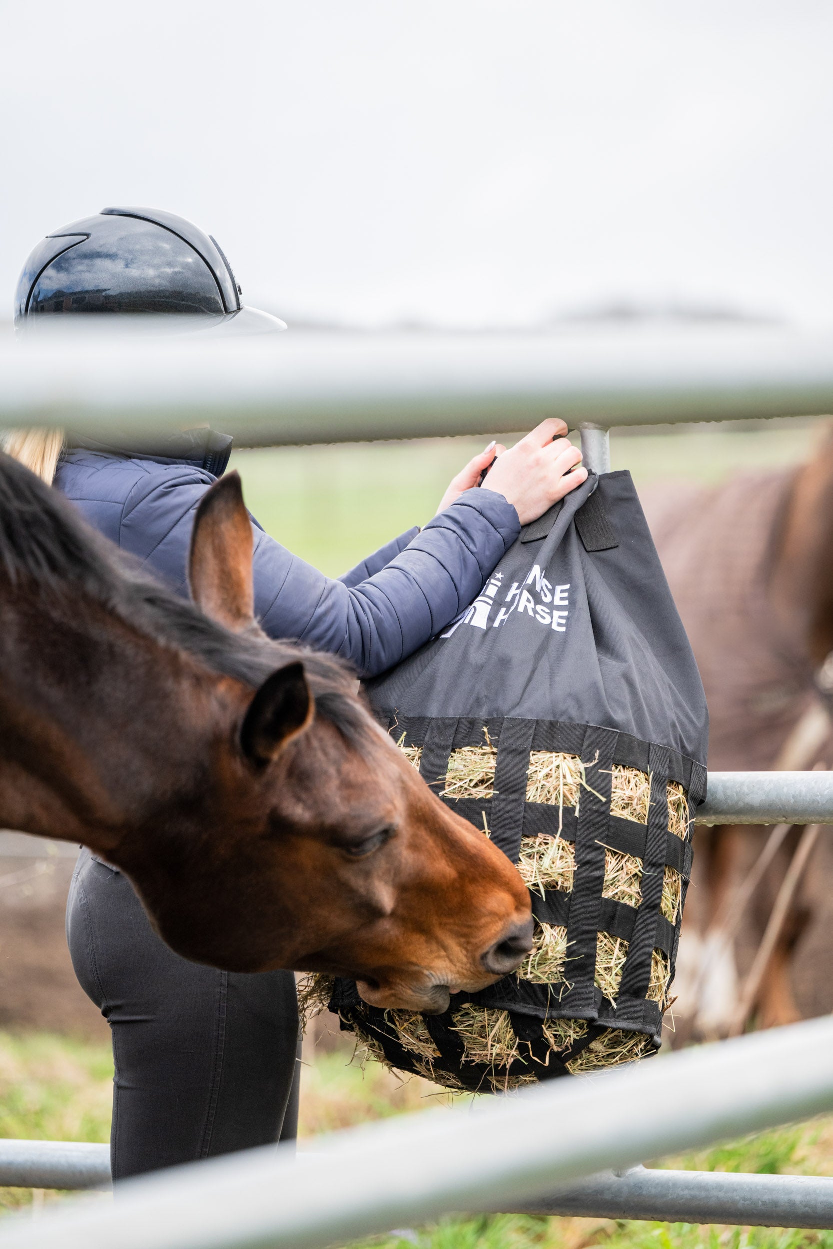 HanseHorse Heunetz Größe M im Einsatz beim Slowfeeding
