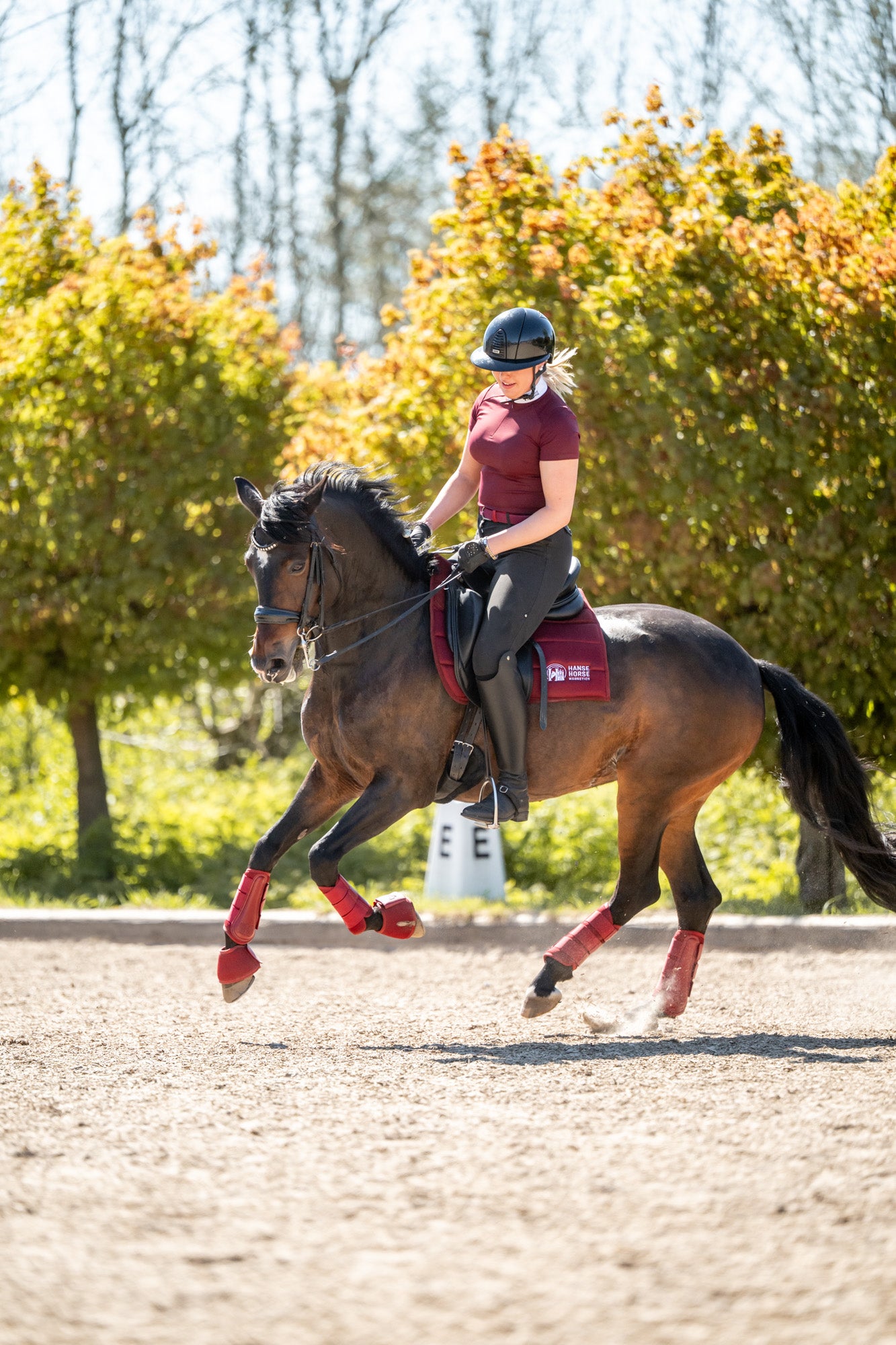 HanseHorse Magnetics Dressur-Komplettlook in Burgundy mit Schabracke, Gamaschen, Glocken und Reitshirt