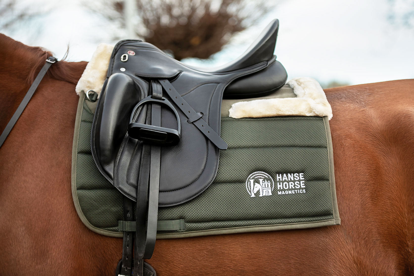 HanseHorse Magnetics Dressur-Schabracke mit Fellbesatz in Hunter Green
