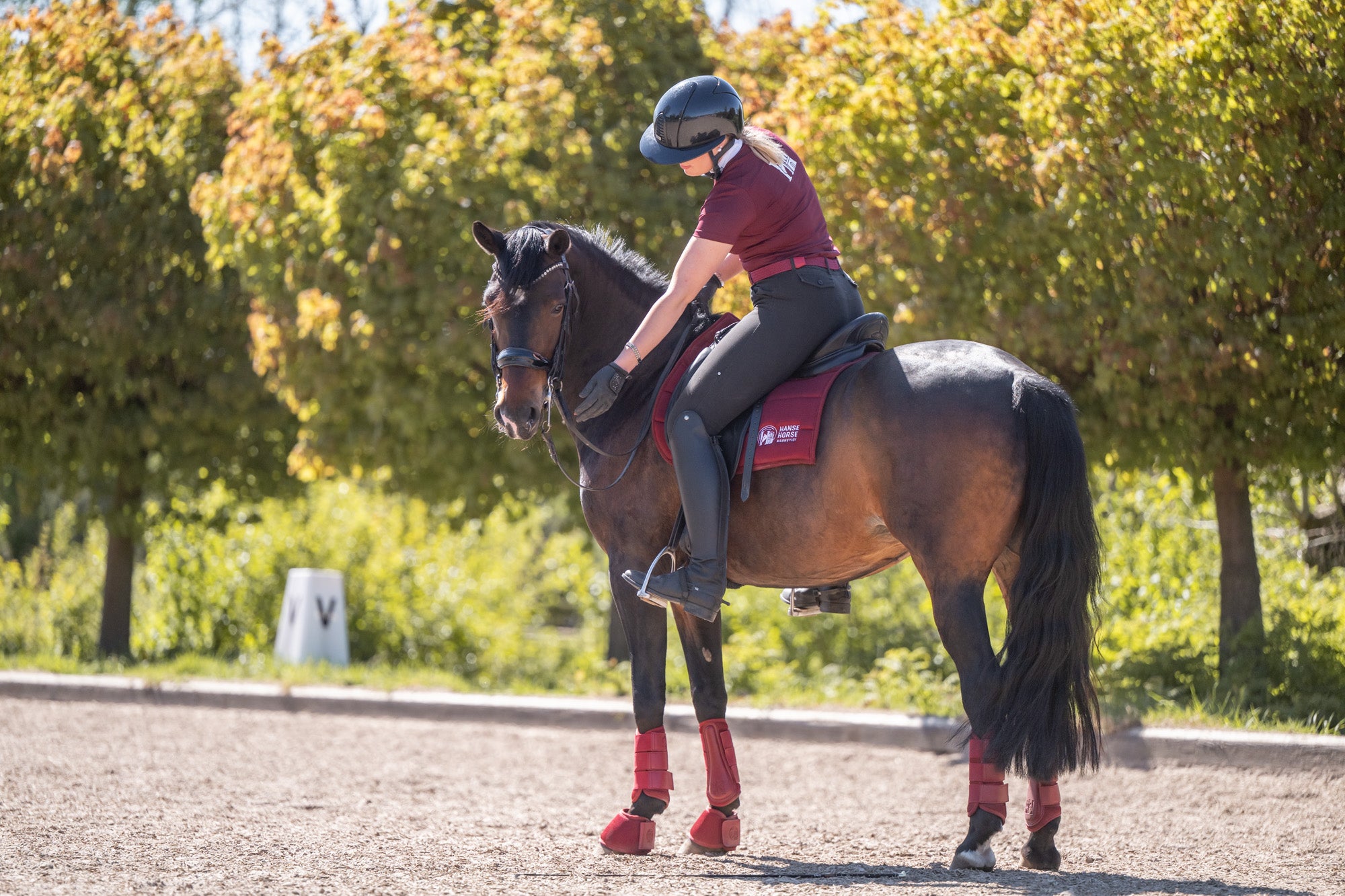 HanseHorse Magnetics Komplettlook in Burgundy mit Schabracke, Gamaschen und Glocken