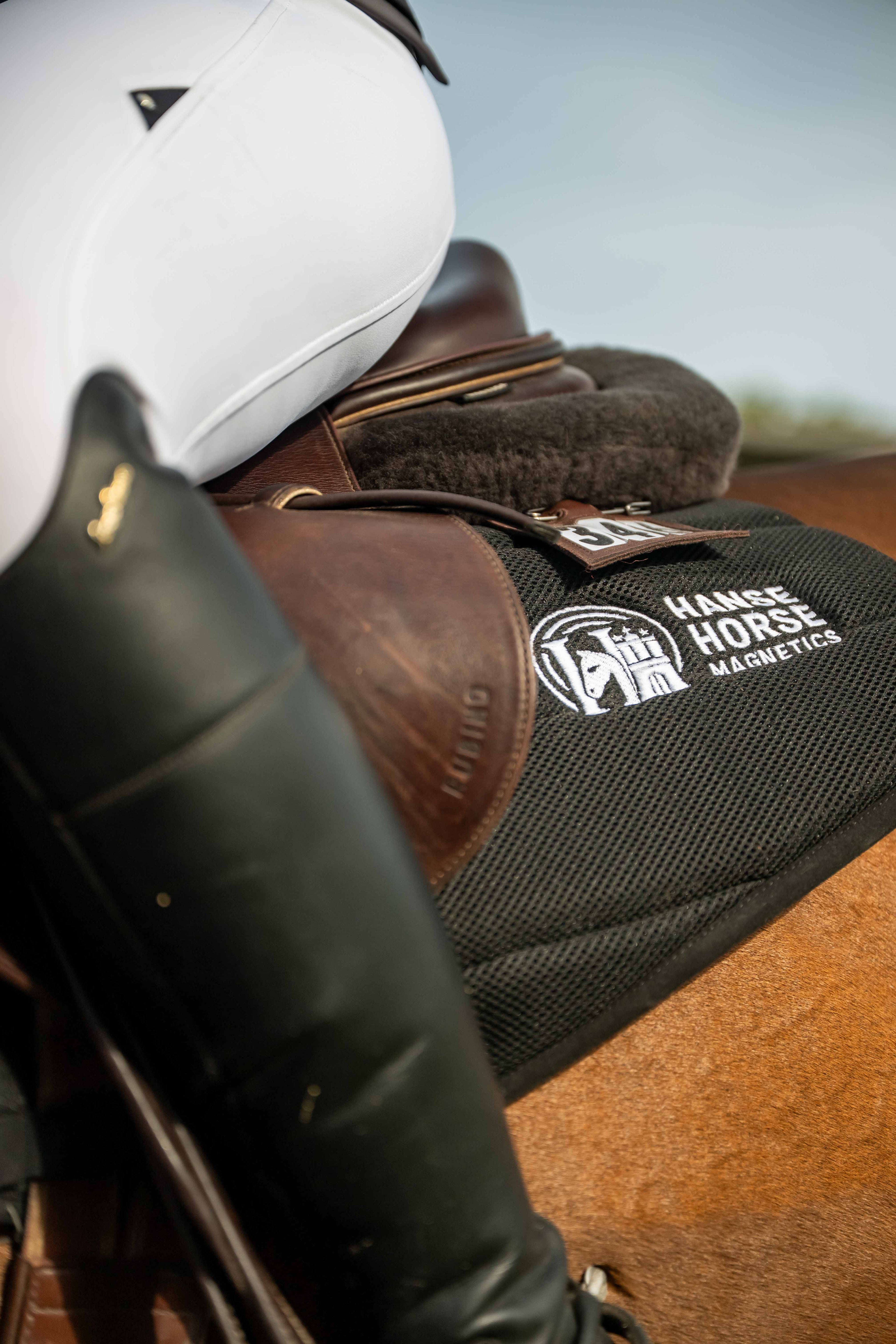 HanseHorse Magnetics Schabracke in Classic Black