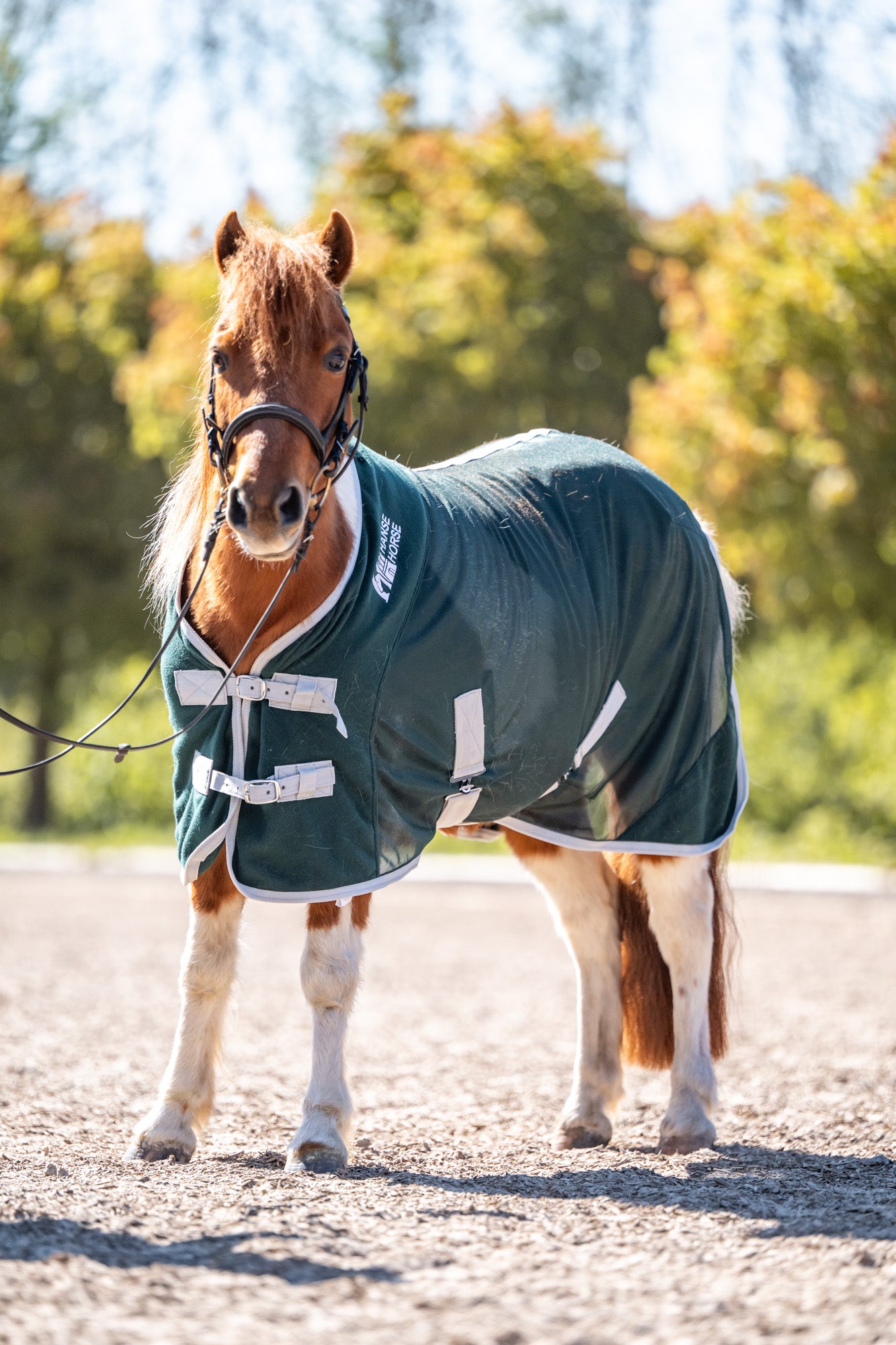 HanseHorse Pferdewissen Ratgeber für Pferdeausrüstung Magnetics Heunetze und Schabracken